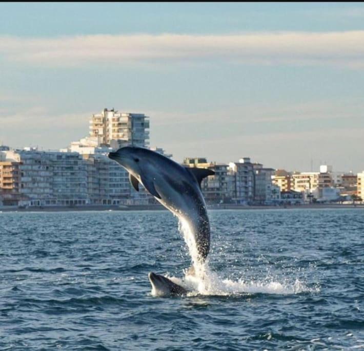 Chalet Adosado En La Playa De El Perellonet Con Piscina, Pista Tenis Valencia Eksteriør bilde